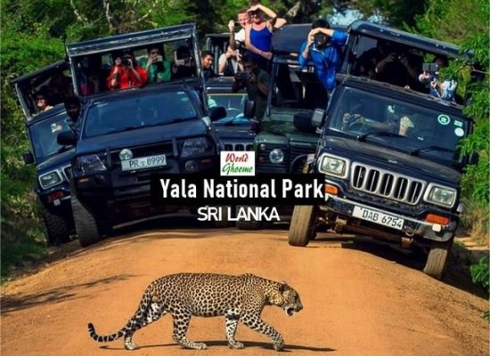 Top 10 Unforgettable Experiences at Yala National Park, Sri Lanka