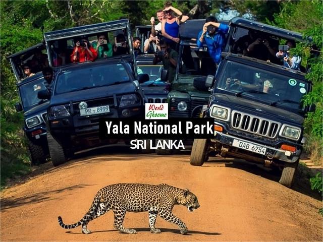 Top 10 Unforgettable Experiences at Yala National Park, Sri Lanka