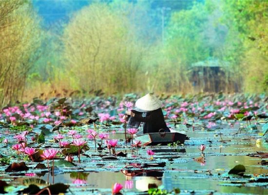 Things to Keep in Mind Before Heading to Vietnam