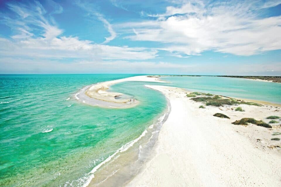 The 10 Best Beaches in West Coast of Florida You Need to Visit