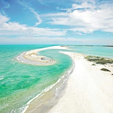 The 10 Best Beaches in West Coast of Florida You Need to Visit