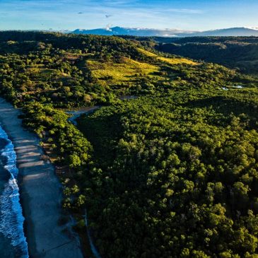 Enjoy Surfing, Wildlife and Family Vacations in Costa Rica