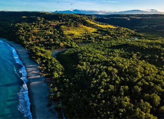 Enjoy Surfing, Wildlife and Family Vacations in Costa Rica