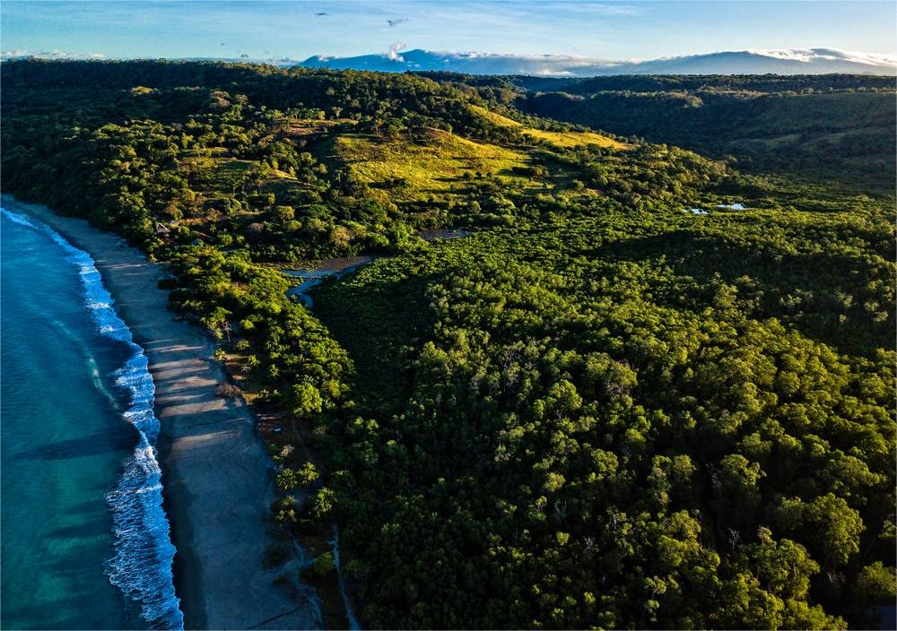 Enjoy Surfing, Wildlife and Family Vacations in Costa Rica