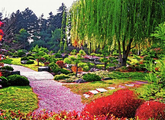 Most Beautiful Botanical Gardens in the World