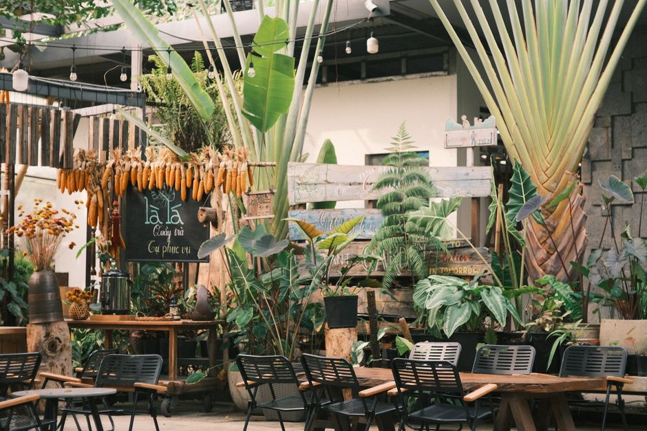 Eco-Friendly Boutique Hotels Costa Rica Under 0: Eco-Lodges in Costa Rica That Actually Cost Under 0