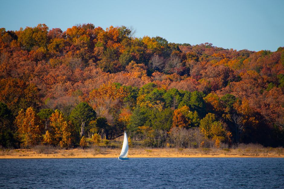 A serene sailboat glides across the lake against a backdrop of vivid autumn trees.