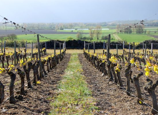 Top 5 things to do in the Loire Valley