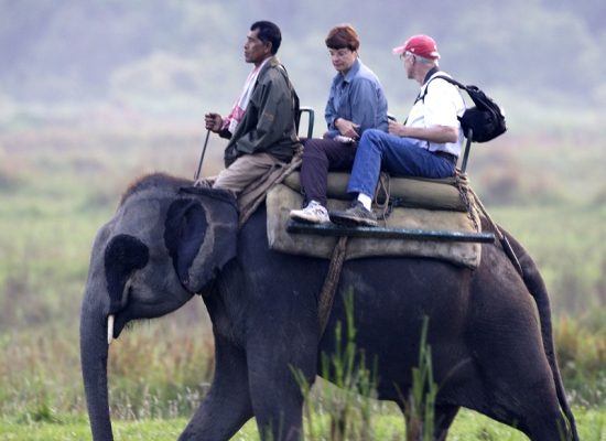 Best Spots in Jorhat