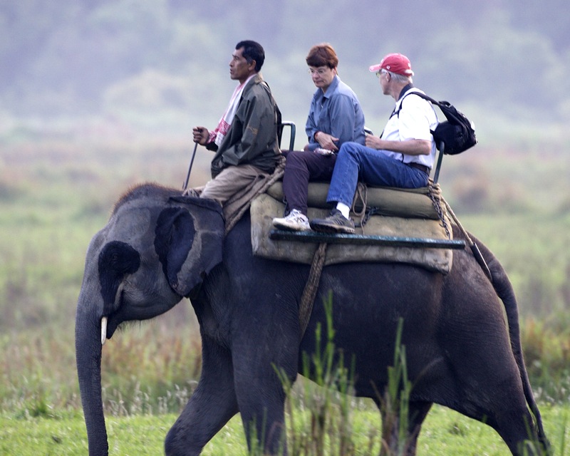Best Spots in Jorhat Best Spots in Jorhat