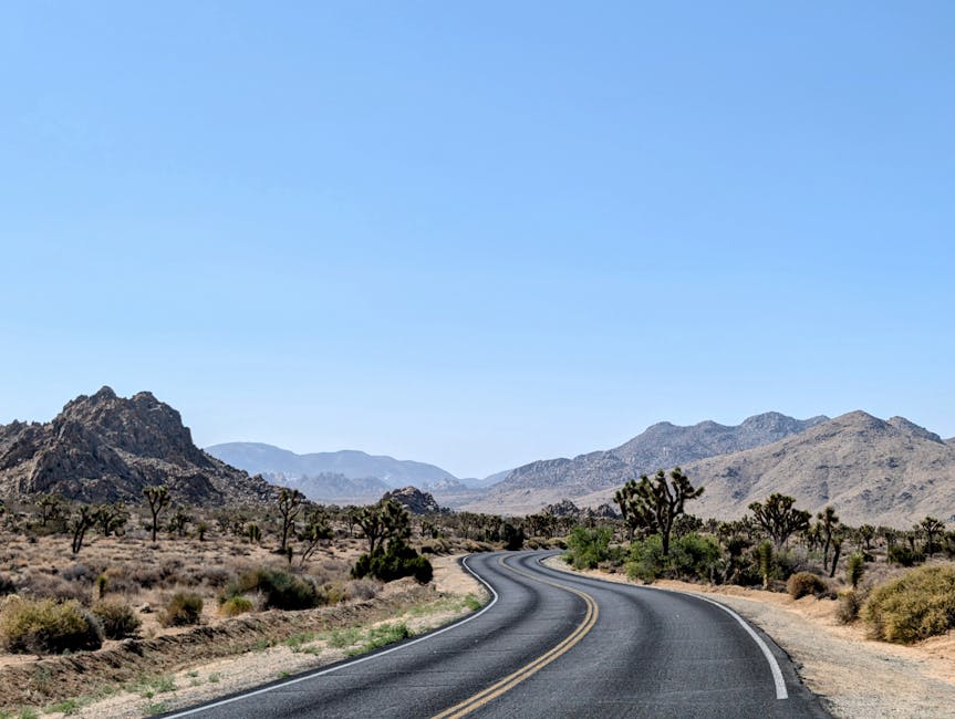 Curving road through Joshua Tree National Park's desert landscape under a clear blue sky.