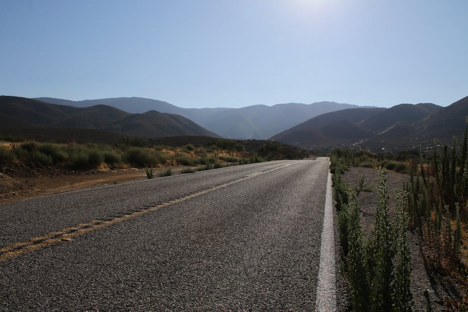 Empty road stretches into the horizon through a tranquil countryside setting under a clear blue sky.