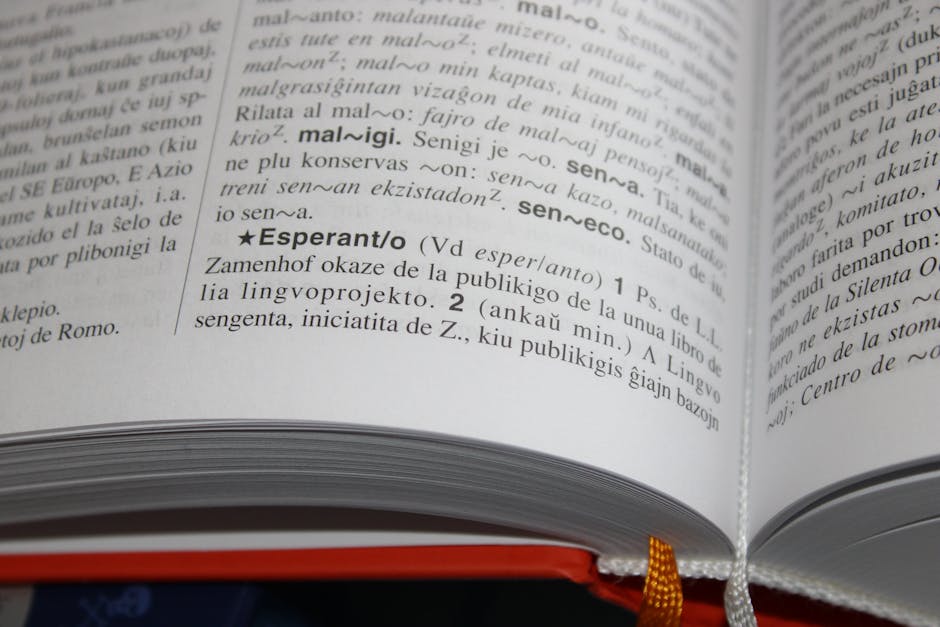 Close-up of an open book featuring text and definitions in Esperanto language.